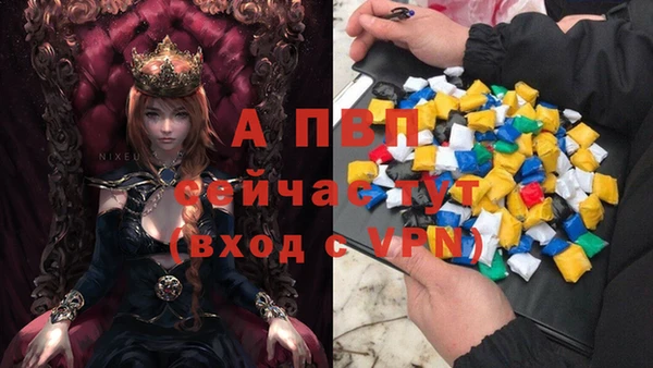 гашик Лабытнанги