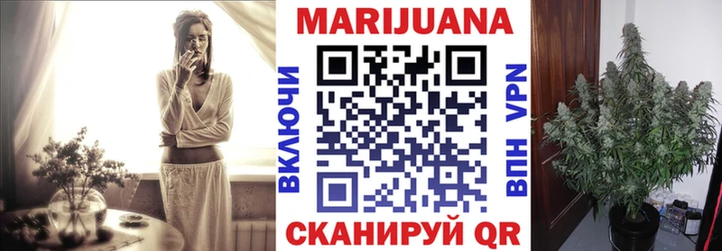 Купить где  Мурино  Бошки марихуана MAZAR 